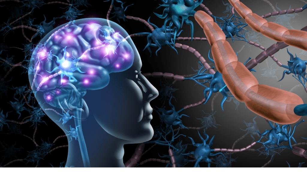 Il ruolo dell’asse intestino-cervello nella salute mentale: come i batteri intestinali influiscono sulle nostre&nbsp;emozioni